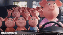 Sing Rosita GIF - Sing Sing Movie Pig GIFs