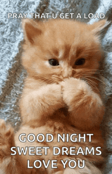 a picture of a kitten with the words pray that u get a load