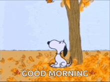 Goodmorning Snoopy GIF - Goodmorning Snoopy Fallingleaf GIFs