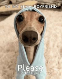 a dog is wrapped in a blue blanket with the words please cheer up below it