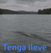 a person 's hand is sticking out of the water with the words tenga lleve below