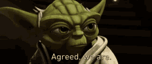 Star Wars Yoda GIF - Star Wars Yoda Agreed We Are GIFs