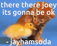 Jayhamsoda Catsoda GIF - Jayhamsoda Catsoda Borkybepis GIFs