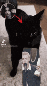 a black cat standing next to a picture of a man with a microphone