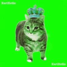 a cat wearing a blue crown on its head