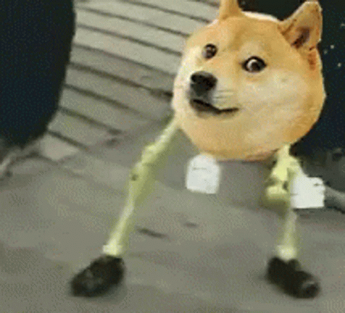 Lol Funny Memes GIF - Lol Funny Memes Doge Meme - Discover & Share GIFs