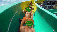 Frog Frg GIF - Frog Frg Plague GIFs