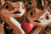 Snake Couple Falling For You GIF - Snake Couple Falling For You GIFs