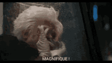 Magnifique Collectioneur GIF - Magnifique Collectioneur GIFs