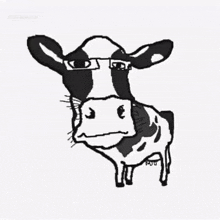 a black and white drawing of a cow with sunglasses on it