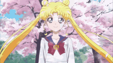 Sailor Moon Anime GIF