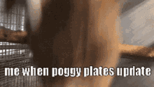 Poggy GIF - Poggy GIFs