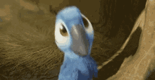 Blue Bird GIF - Blue Bird Rio GIFs