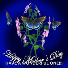 happy mother 's day have a wonderful one