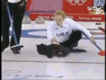 cat curling olympics sports