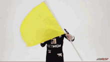 Yellow Flag Caution Flag GIF - Yellow Flag Caution Flag Caution GIFs