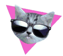 Wink Shades On GIF - Wink Shades On Cat GIFs