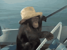 Monkey Drive GIF - Monkey Drive Boat GIFs