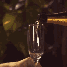 Celebrate Wine GIF - Celebrate Wine Pouring Wine GIFs
