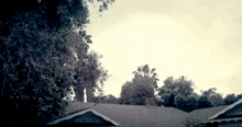 a roof of a house with a chimney and trees in the background