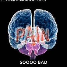 an image of a brain with the word pain written inside of it