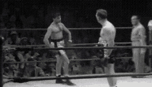 Funny Boxing GIF - Funny Boxing GIFs