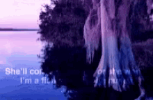 a tree is standing next to a body of water with the words she 'll come or she 'll go