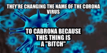 Funny Coronavirus GIF - Funny Coronavirus Changing The Name GIFs