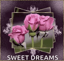 sweet dreams sparkles flowers good night