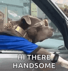 a dog wearing sunglasses and a gold collar is driving a car and says hi there handsome .