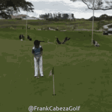 Frank Cabeza Frank Cabeza Golf GIF