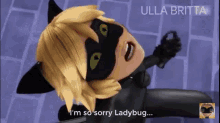 Miraculous Tales Of Ladybug And Cat Noir GIF - Miraculous Tales Of Ladybug And Cat Noir Im Sorry Ladybug GIFs