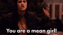 You Are A Mean Girl! You'Re A Bitch! - Mean Girl GIF - Mean Girls Mean Girl You Suck GIFs