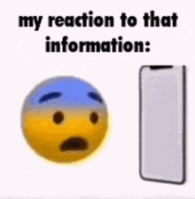 My Reaction To That Information Neko17 GIF - My Reaction To That Information Neko17 My Reaction GIFs