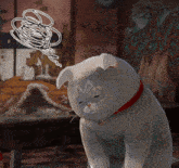 a white cat with a red collar has the letter m painted on its ear