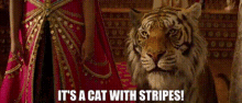 Aladdin Cat GIF - Aladdin Cat Stripes GIFs