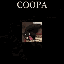 cooper fancam coopa consider the following cat