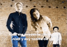 Niall Horan Niall GIF - Niall Horan Niall Niall Flicker GIFs