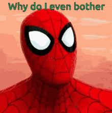 Spider Man Why Do I Even Bother GIF - Spider Man Why Do I Even Bother Facepalm GIFs