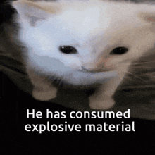 a picture of a cat with the words he has consumed explosive material