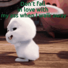 Dont Fall In Love With My Ass When I Walk Away Rabbit GIF - Dont Fall In Love With My Ass When I Walk Away Rabbit Happy Dance GIFs