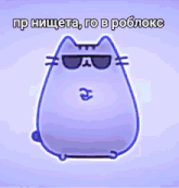 a purple cat with the words pusheen go in roblox on the bottom