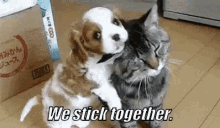 We Stick Together. GIF - Stick Together We Stick Together GIFs