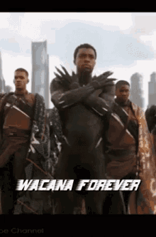 Wacana Forever GIF - Wacana Forever Meme Black Panther GIFs
