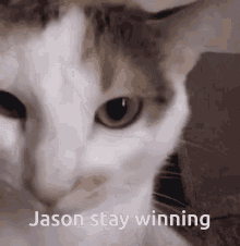 Jason Stay Winning Jason Anime GIF - Jason Stay Winning Jason Anime Jasons GIFs