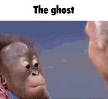 The Ghost Ghost GIF - The Ghost Ghost Monkey GIFs