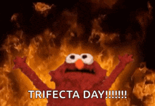 elmo from sesame street is standing in front of a fire and says `` trifecta day ! ''