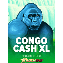 a poster with a gorilla and the words congo cash xl on it