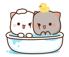 two cartoon cats are taking a bath together with a yellow rubber duck