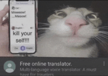 Translate Free GIF